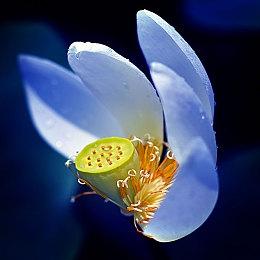 《碧蓝幻想：Relink》体验版1月12日上线 含三个模式